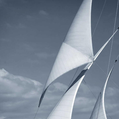 Sails Black Modern Wood Framed Art Print with Double Matting by PhotoINC Studio