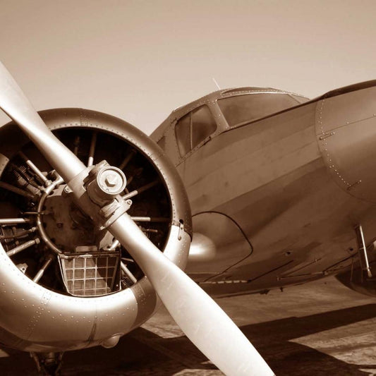 Image Only