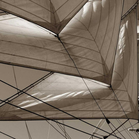 Sails White Modern Wood Framed Art Print by PhotoINC Studio