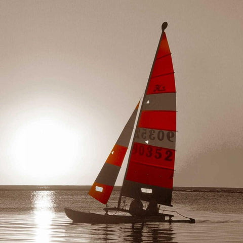 Sailboat Sunset Black Ornate Wood Framed Art Print with Double Matting by PhotoINC Studio