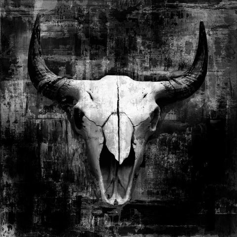 Black Cowskull Black Modern Wood Framed Art Print with Double Matting by GraphINC