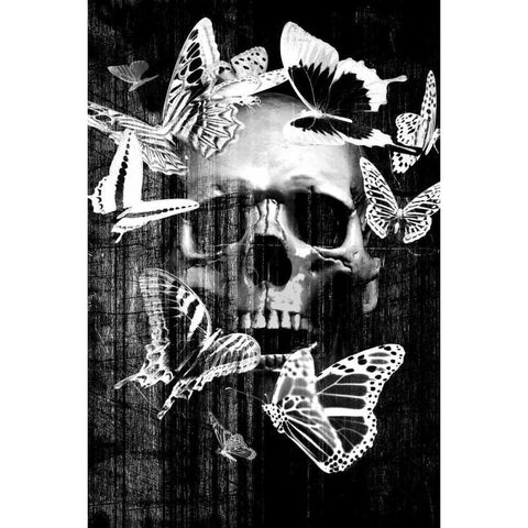 Skull Butterfly Crown Black Modern Wood Framed Art Print with Double Matting by GraphINC