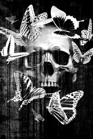 Skull Butterfly Crown Black Ornate Wood Framed Art Print with Double Matting by GraphINC