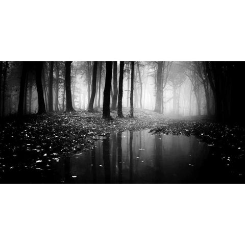 Woods White Modern Wood Framed Art Print by PhotoINC Studio