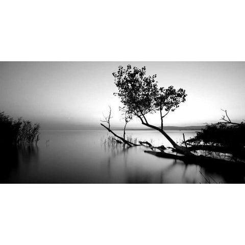 Great Lake Black Modern Wood Framed Art Print by PhotoINC Studio