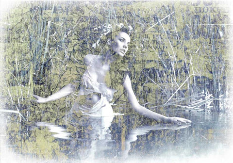 Swan Lake White Modern Wood Framed Art Print with Double Matting by GraphINC