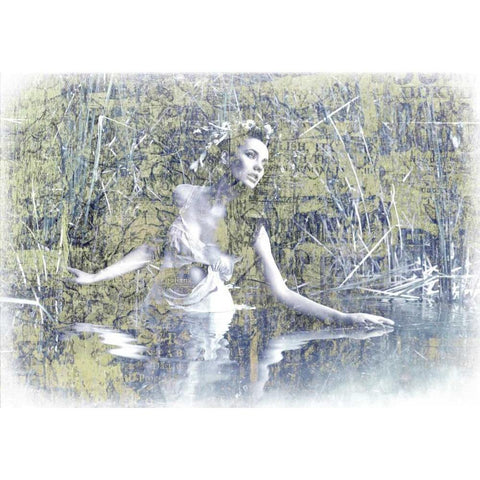 Swan Lake White Modern Wood Framed Art Print by GraphINC