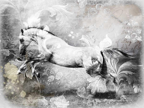 White Horse Black Ornate Wood Framed Art Print with Double Matting by GraphINC