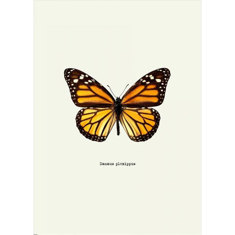 Yellow Butterfly Gold Ornate Wood Framed Art Print with Double Matting by GraphINC