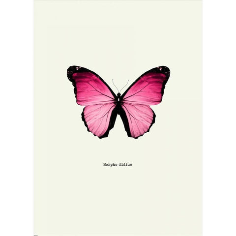 Pink Butterfly Gold Ornate Wood Framed Art Print with Double Matting by GraphINC