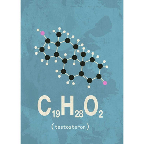 Molecule Testosterone Black Modern Wood Framed Art Print with Double Matting by TypeLike