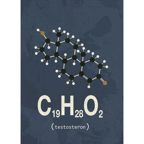 Molecule Testosterone White Modern Wood Framed Art Print by TypeLike