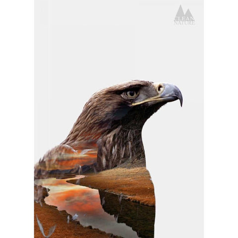 Eagle Black Modern Wood Framed Art Print with Double Matting by Clean Nature