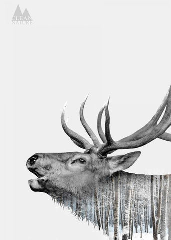 Deer White Modern Wood Framed Art Print with Double Matting by Clean Nature