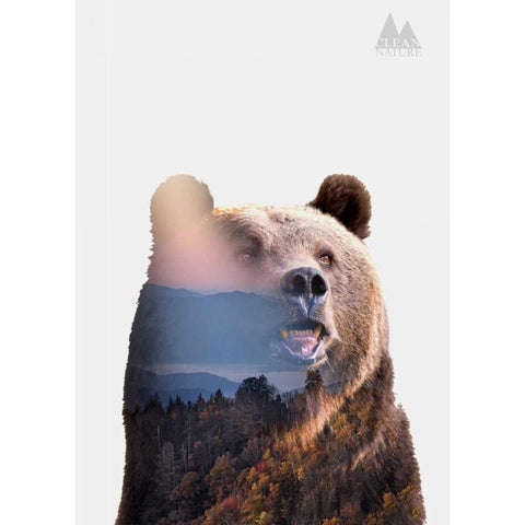 Bear Black Modern Wood Framed Art Print with Double Matting by Clean Nature