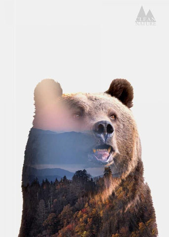 Bear White Modern Wood Framed Art Print with Double Matting by Clean Nature