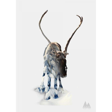 Moose Black Modern Wood Framed Art Print with Double Matting by Clean Nature