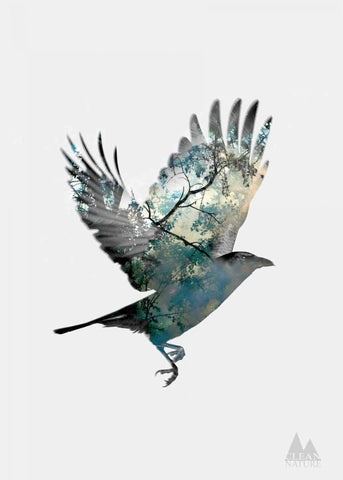 Bird Black Ornate Wood Framed Art Print with Double Matting by Clean Nature