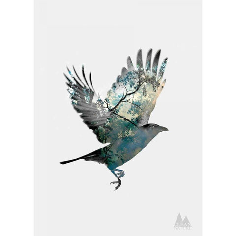 Bird Black Modern Wood Framed Art Print with Double Matting by Clean Nature