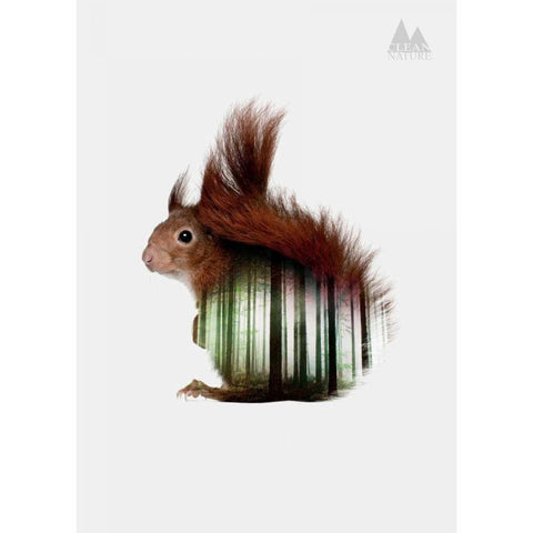 Squirrel Gold Ornate Wood Framed Art Print with Double Matting by Clean Nature