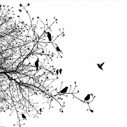 Bird I Black Modern Wood Framed Art Print by GraphINC