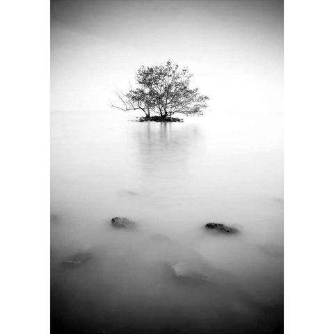 In the mist Black Modern Wood Framed Art Print by PhotoINC Studio
