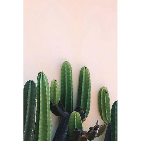 Cactus White Modern Wood Framed Art Print by Incado