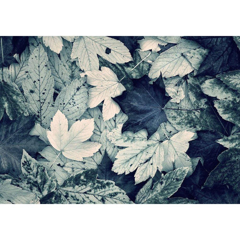 Forest Floor White Modern Wood Framed Art Print by Incado