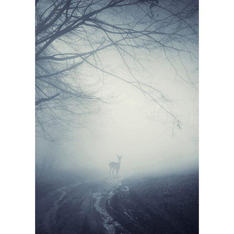 Foggy Morning Hike White Modern Wood Framed Art Print by Incado