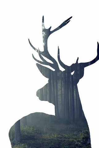 Forest Deer Silhouette White Modern Wood Framed Art Print with Double Matting by Incado