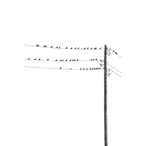 Birds on Wires White Modern Wood Framed Art Print by Incado