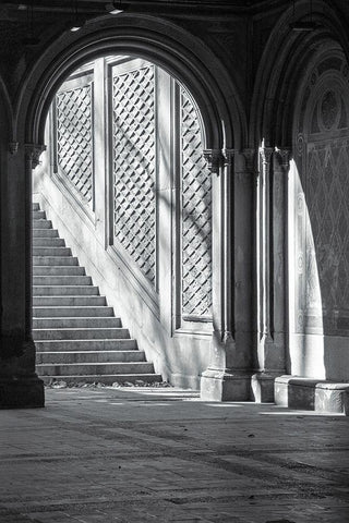 Arch Black Ornate Wood Framed Art Print with Double Matting by Incado