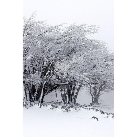 Winter Storm White Modern Wood Framed Art Print by Incado