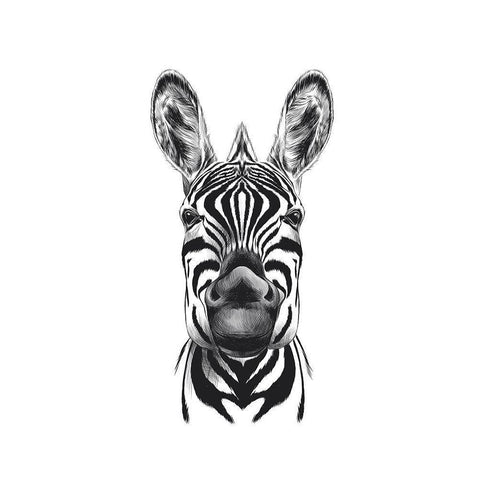 Zebra Illustration White Modern Wood Framed Art Print by Incado