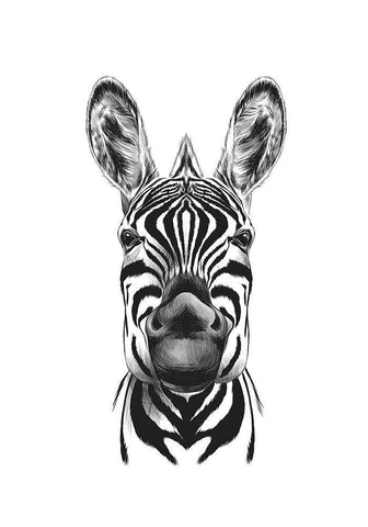 Zebra Illustration White Modern Wood Framed Art Print with Double Matting by Incado