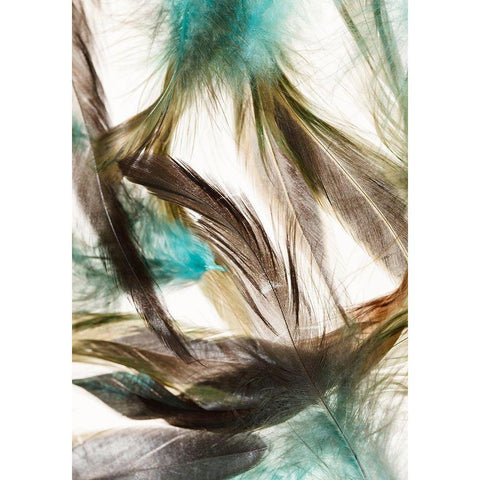 Floating Feathers White Modern Wood Framed Art Print by Incado