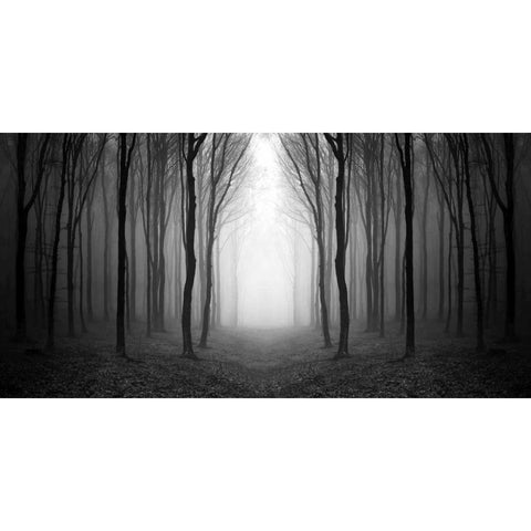 Dark Woods White Modern Wood Framed Art Print by PhotoINC Studio