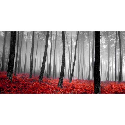 Autumn Woods White Modern Wood Framed Art Print by PhotoINC Studio
