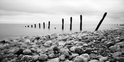 Beach Pebbles Black Ornate Wood Framed Art Print with Double Matting by PhotoINC Studio