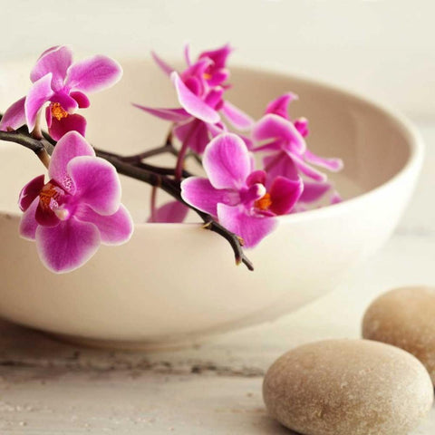 Zen Pebble Black Ornate Wood Framed Art Print with Double Matting by PhotoINC Studio