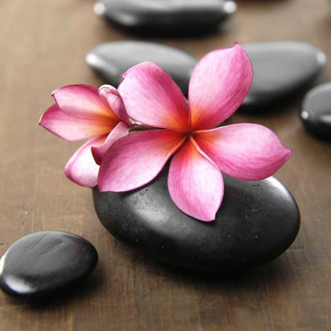 Zen Pebbles Black Modern Wood Framed Art Print by PhotoINC Studio