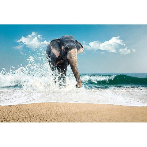 Elephant White Modern Wood Framed Art Print by PhotoINC Studio