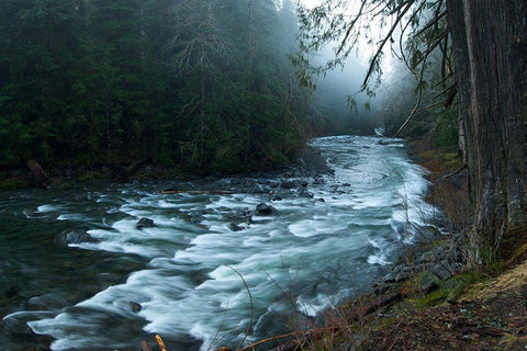 River White Modern Wood Framed Art Print with Double Matting by PhotoINC Studio