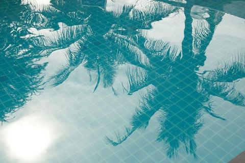 Shadow Black Ornate Wood Framed Art Print with Double Matting by PhotoINC Studio