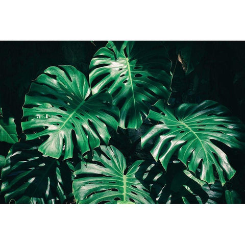 Tropical White Modern Wood Framed Art Print by PhotoINC Studio