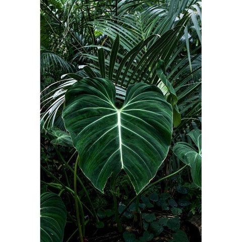 Tropical 3 White Modern Wood Framed Art Print by PhotoINC Studio