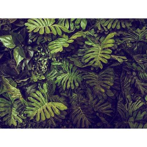 Tropical 4 Black Modern Wood Framed Art Print with Double Matting by PhotoINC Studio