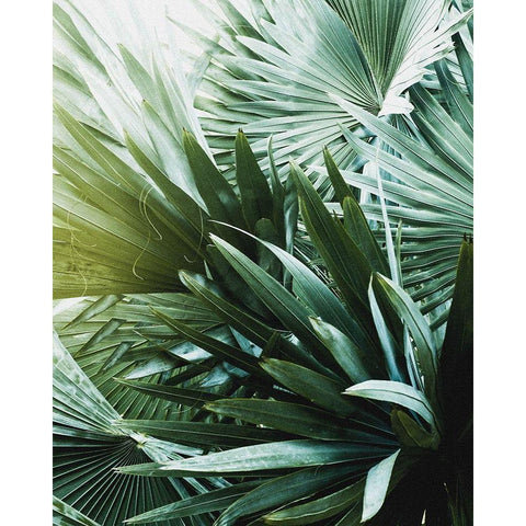 Leaf II Gold Ornate Wood Framed Art Print with Double Matting by Incado