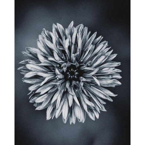 Autumn I Black Modern Wood Framed Art Print with Double Matting by Incado