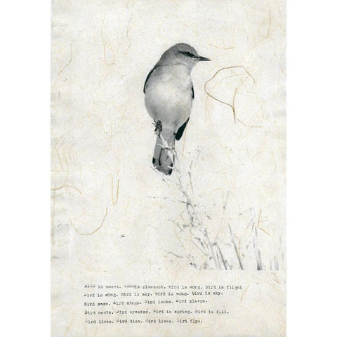 Bird is sweet White Modern Wood Framed Art Print by TypeLike